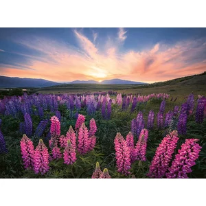 Ravensburger 17492 - Nature Edition, Lupinen - 500 db-os Panoráma puzzle