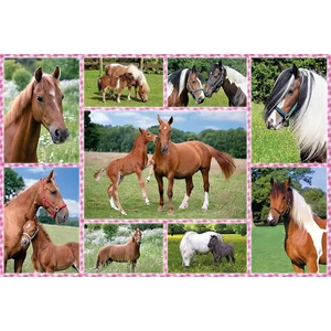 Schmidt 56269 - Dream Horses - 150 db-os puzzle