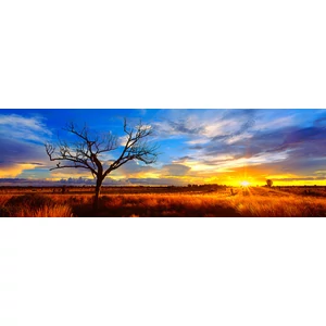 Schmidt 59865 - Panoráma puzzle - Desert Oak at Sunset, Australia, Mark Gray - 1000 db-os puzzle