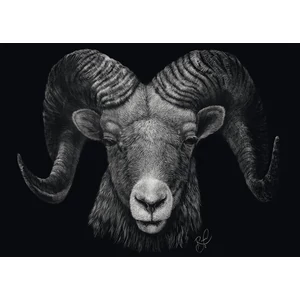 Schmidt 58540 - Dominance - Aries, In the Sign of Fire, Ashley Rader - 1000 db-os puzzle