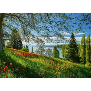 Schmidt 1000 db-os puzzle - Tulips flowering - Mainau Island (58967)