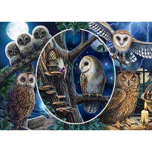 Schmidt 59667 - Mysterious owls, Lisa Parker - 1000 db-os puzzle