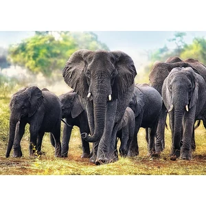 Trefl 10442 - Afrikai elefántok - 1000 db-os puzzle