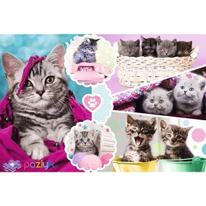 Trefl 15371- Édes kiscicák - 160 db-os puzzle