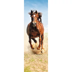Trefl 75004 - Home Gallery - Patadobogás - 300 db-os puzzle 
