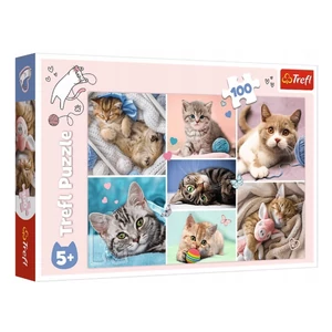 Trefl 16420 - A macskák világa - 100 db-os puzzle