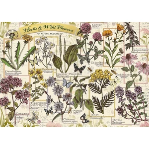 Trefl 37478 - Herbarium: Medicinal herbs - 500 db-os puzzle