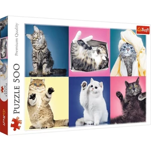 Trefl 37377 - Cicák - 500 db-os puzzle