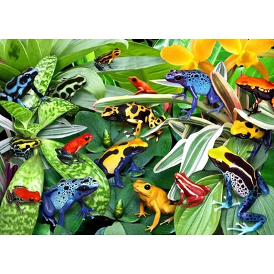 Alipson 50168 - Fun Frogs - 500 db-os puzzle
