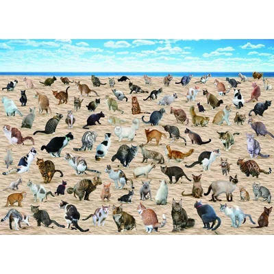 Bboldin Z-309 - Beach Pooping Cats - 1000 db-os puzzle