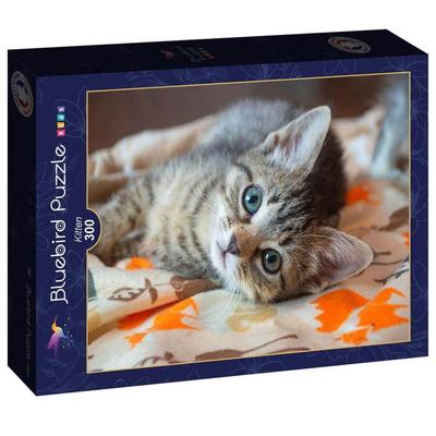 Bluebird 90083 - Kitten - 300 db-os puzzle