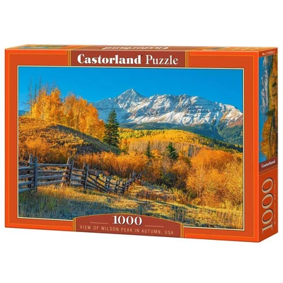 Castorland C-105502 - View Of Wilson, USA - 1000 db-os puzzle
