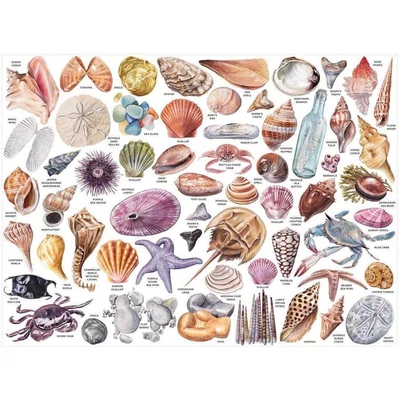 Galison 57051 - The Beachcomber’s Companion - 1000 db-os puzzle különleges formákkal