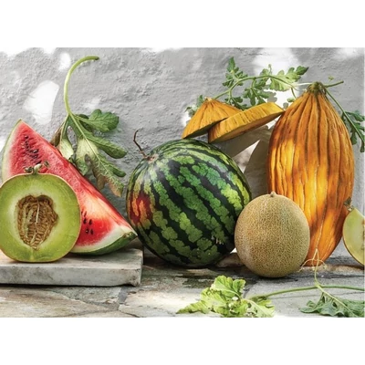 Galison 79770 - Melons from the Vine - 1000 db-os puzzle