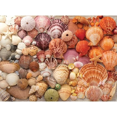 Galison 80608 - Vibrant Seashells - 1000 db-os puzzle