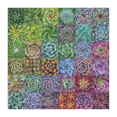 Galison 63427 - Succulent Spectrum - 500 db-os puzzle
