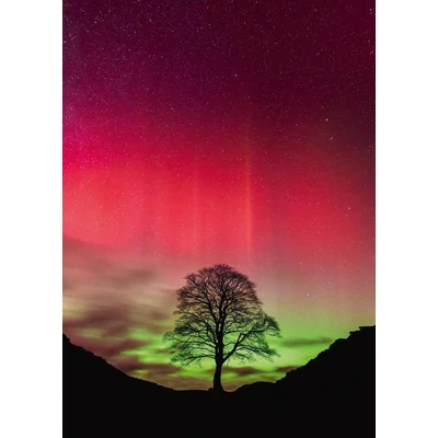 Heye 30065 - Power of Nature - Sycamore Gap - 1000 db-os puzzle