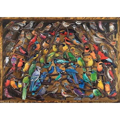 Ravensburger 12000281 - Színes madárvilág - 1000 db-os puzzle