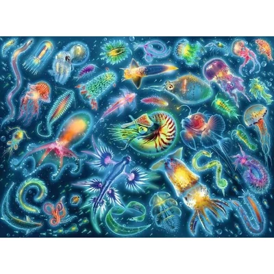 Ravensburger 12000362 - Vízalatti teremtmények - 500 db-os puzzle