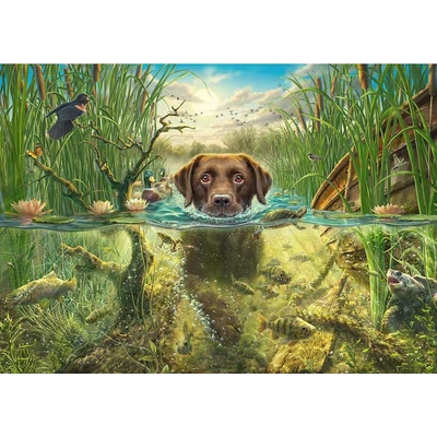 Schmidt 58572 - Dog&#039;s Life - Brown Labrador in the Cool Water - 1000 db-os puzzle