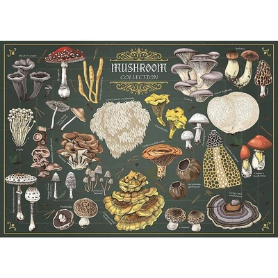 Trefl 37608 - Finders Keepers - Gombák - 500 db-os puzzle