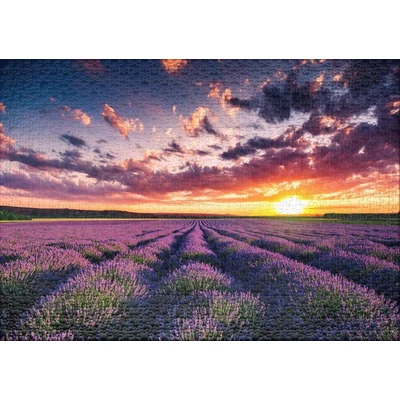 Ulmer 0053 - Lavender Blossoms - 1000 db-os puzzle