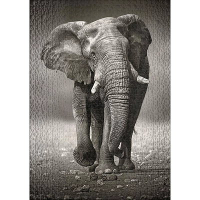 Ulmer 0275 - The Wanderer - 1000 db-os puzzle