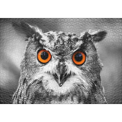 Ulmer 0411 - Owl - 1000 db-os puzzle