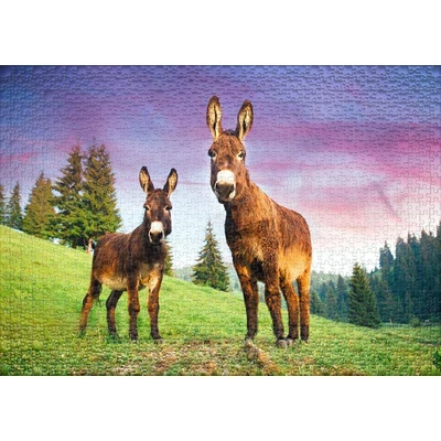 Ulmer 0787 - Alpine Donkey - 1000 db-os puzzle