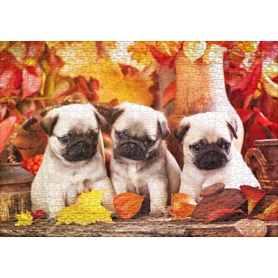 Ulmer 0893 - Puppy Happiness - 1000 db-os puzzle