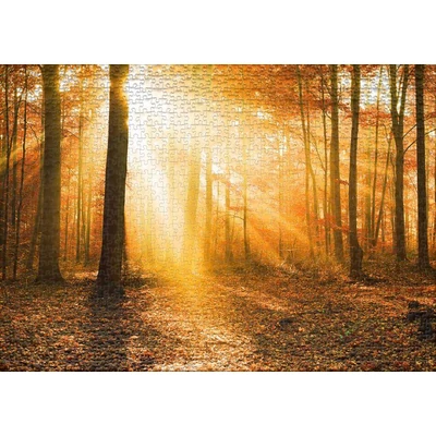 Ulmer 0909 - Golden Autumn Forest - 1000 db-os puzzle