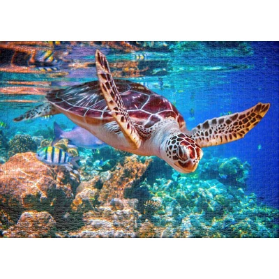 Ulmer 0947 - Sea Turtle - 1000 db-os puzzle