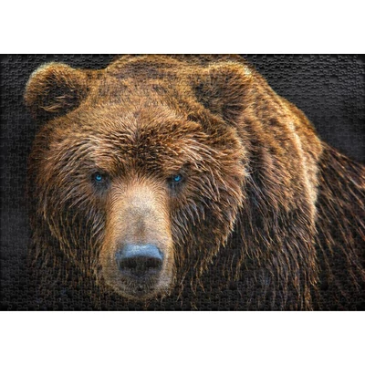 Ulmer 1326 - Grizzly - 1000 db-os puzzle