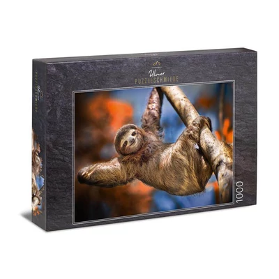 Ulmer 1456 - Let Your Soul Relax - 1000 db-os puzzle