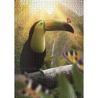 Ulmer 1616 - Toucan &amp; Peacock Butterfly - 1000 db-os puzzle