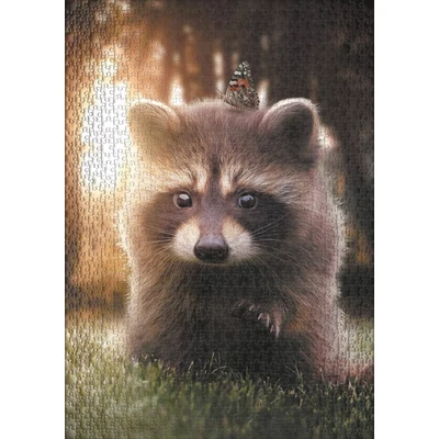Ulmer 1630 - Raccoon Looking for a Friend - 1000 db-os puzzle