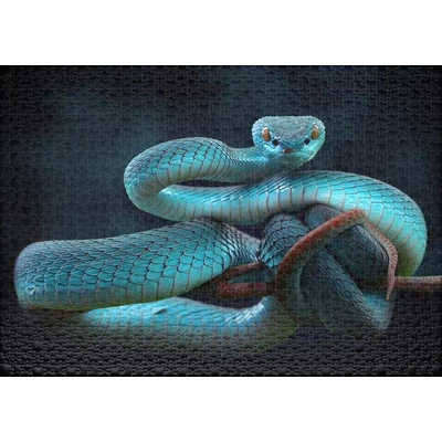 Ulmer 2286 - Snake Dream - 1000 db-os puzzle