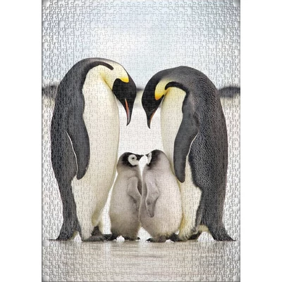 Ulmer 2347 - Family Happiness - 1000 db-os puzzle