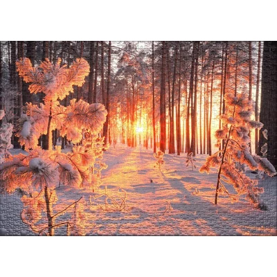 Ulmer 2439 - Winter Sun - 1000 db-os puzzle