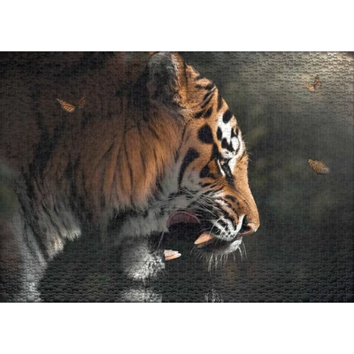 Ulmer 2538 - Eye to Eye - 1000 db-os puzzle