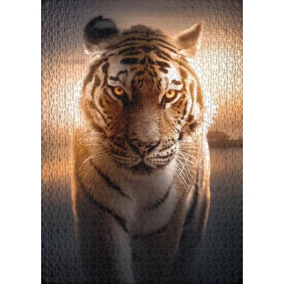 Ulmer 2569 - Eyes of the Night - 1000 db-os puzzle