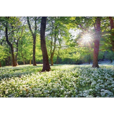 Ulmer 2743 - Spring Sun - 1000 db-os puzzle