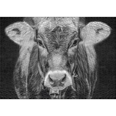 Ulmer 2927 - Allgäu - 1000 db-os puzzle