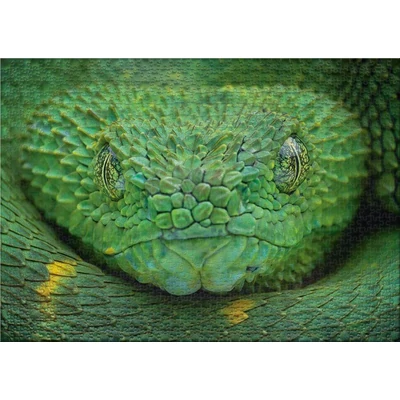 Ulmer 3023 - Poison Green - 1000 db-os puzzle