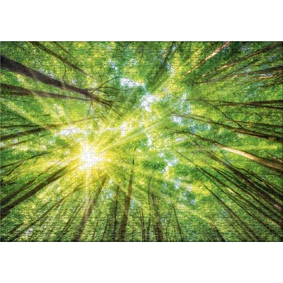 Ulmer 3054 - Light and Shadow - 1000 db-os puzzle