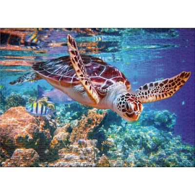 Ulmer 3726 - Sea Turtle - 500 db-os puzzle