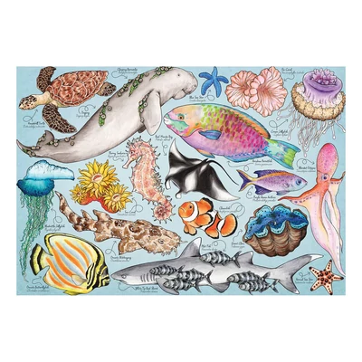 House of Puzzles HP0805 - Great Barrier Reef  - 1000 db-os puzzle