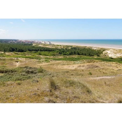 Bluebird 90454 -Dunes d&#039;Hardelot, Côte d&#039;Opale, France - 1000 db-os puzzle 