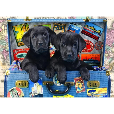 Bluebird 90053 - Travel Labs - Kids 48 db-os puzzle