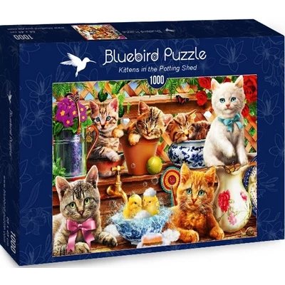 Bluebird puzzle 70241 - Kittens in the Potting Shed - 1000 db-os puzzle